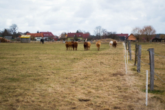 Ubytování Třeboňsko - Penzion na návsi